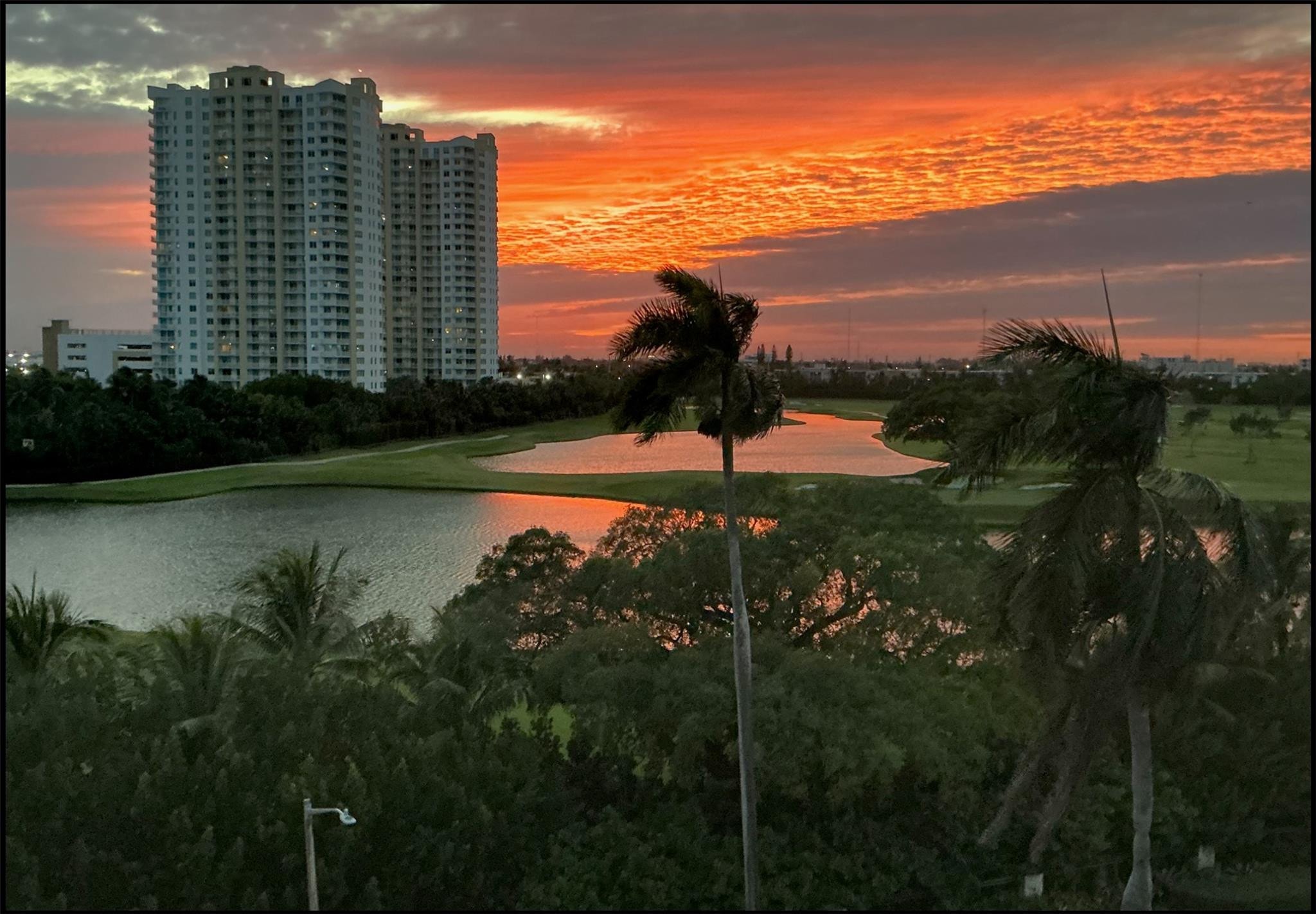 1BR – Condominium at 300 Diplomat Parkway #705