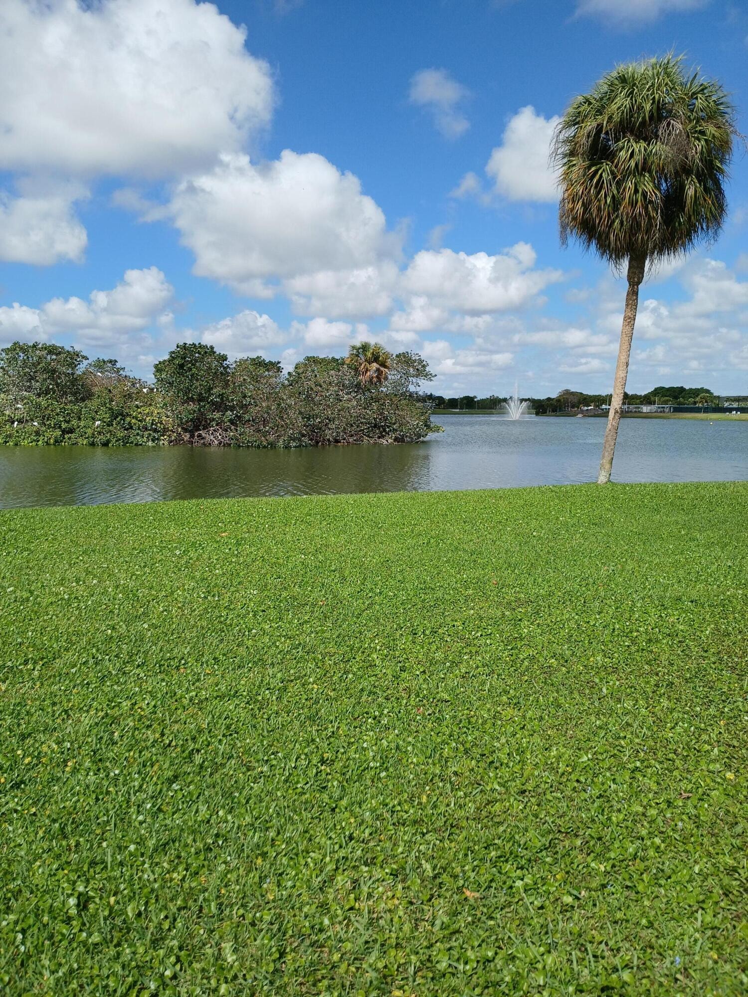 2BR – RNT at 92 Seville