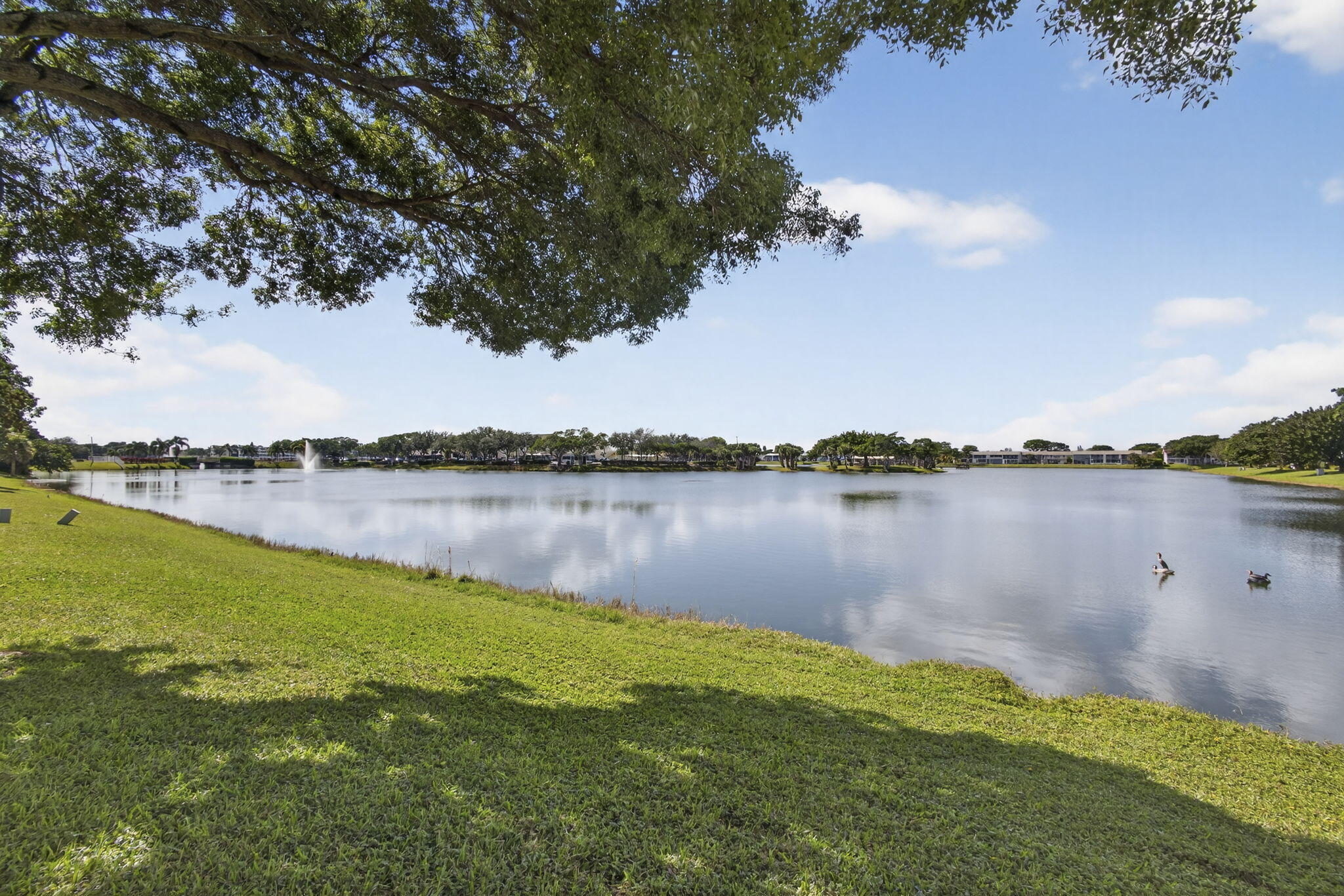 2BR – Condominium at 51 Stratford D