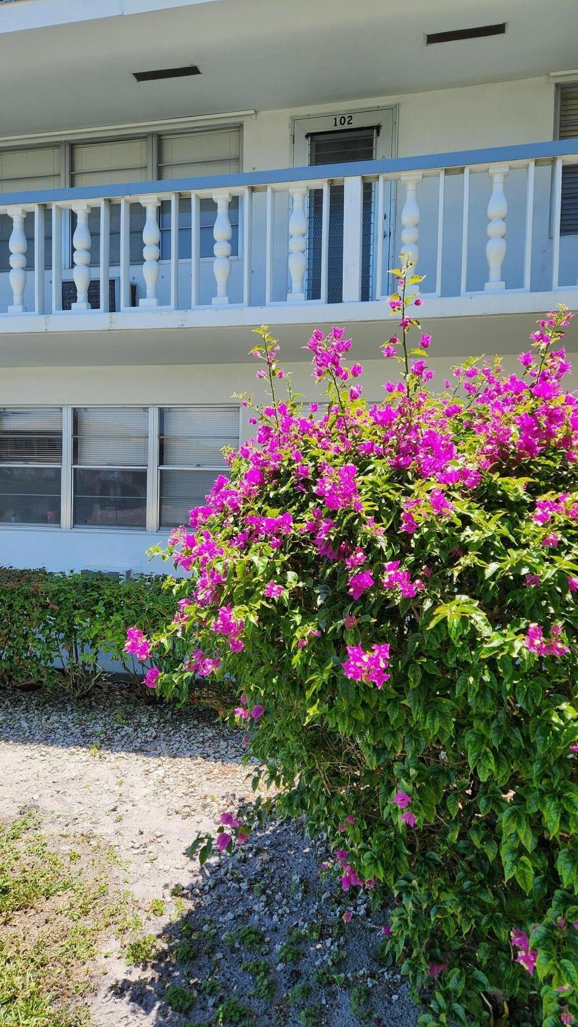 1BR – Condominium at 102 Andover D
